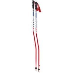 BATONS SWIX WC PRO SG CARBON